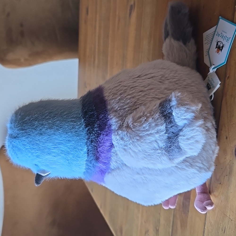 Jellycat Strutton Pigeon 8.1in x 4.7in x 5.5" Soft & Plush BNWT Authentic - Picture 5 of 8